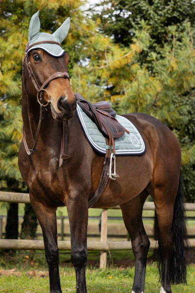 Soft mantilla