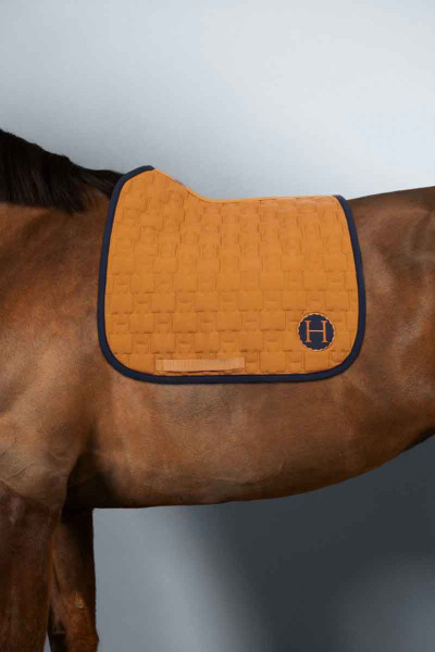 Salva Tapis de Selle