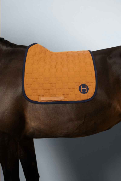 Salva Tapis de Selle
