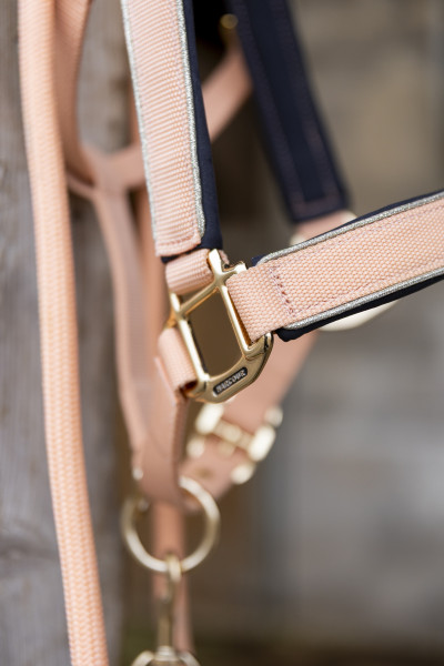 Hansy Halter and Lead rope