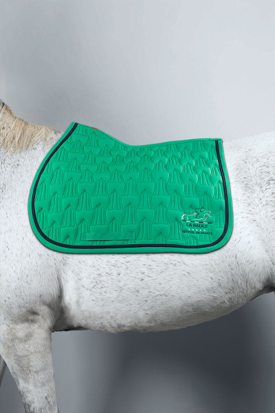 POSALINE satteldecke CSIO LA BAULE