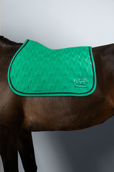 POSALINE satteldecke CSIO LA BAULE