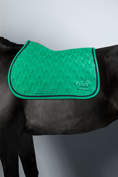 POSALINE satteldecke CSIO LA BAULE