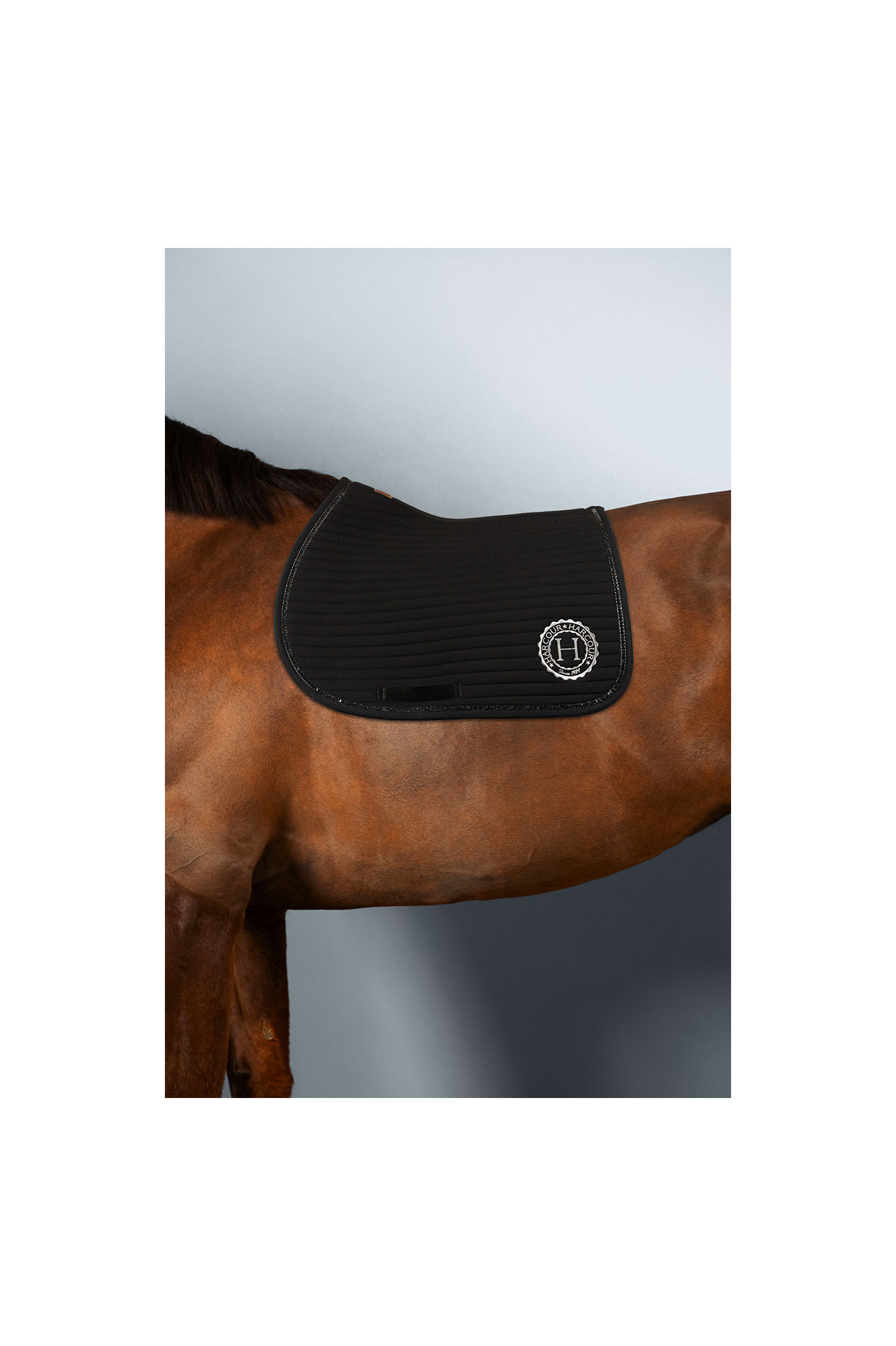 Tapis De Selle Kavalkade Avec Panneau Néoprène Intégré - Noir - Occasion