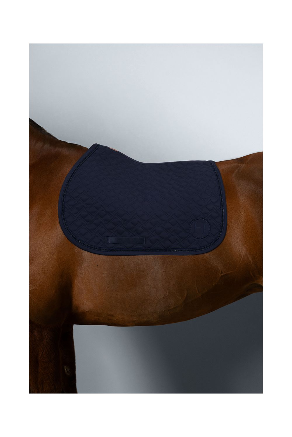 Saphir Tapis de Selle - Marine