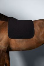 Saphir Saddle Pad - Noir (Black) Saphir Saddle Pad - Noir (Black)