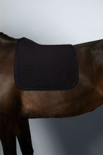 Saphir Saddle Pad - Noir (Black) Saphir Saddle Pad - Noir (Black)