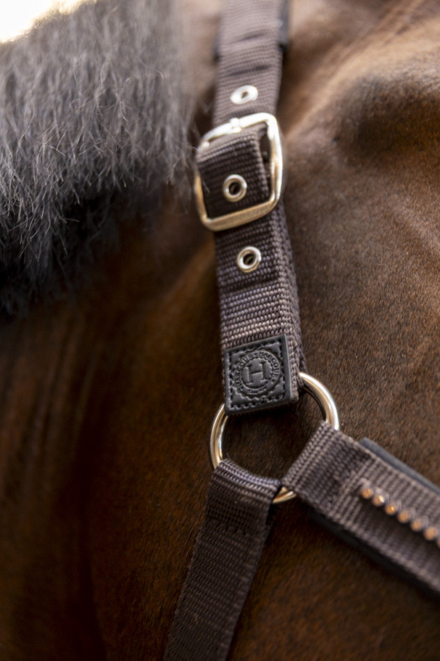 Amour Halter and loin - Cacao