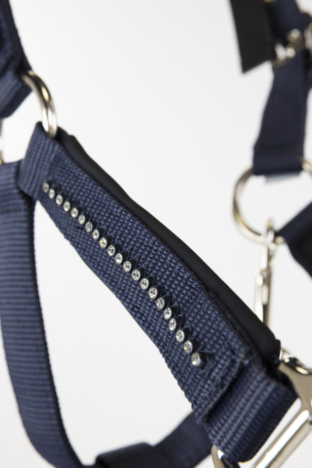 Amour Halfter und Longe - Marineblauw Amour Halfter und Longe - Marineblauw