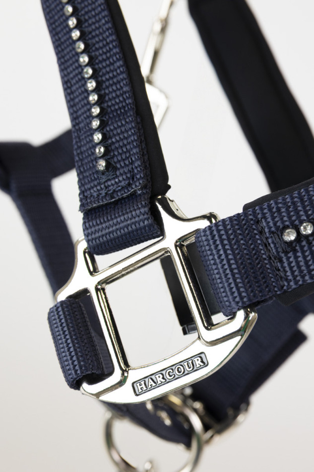 Amour por el ronzal y la correa - Marine