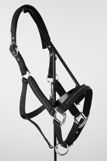 Amour Halter and Lead Rope - Black