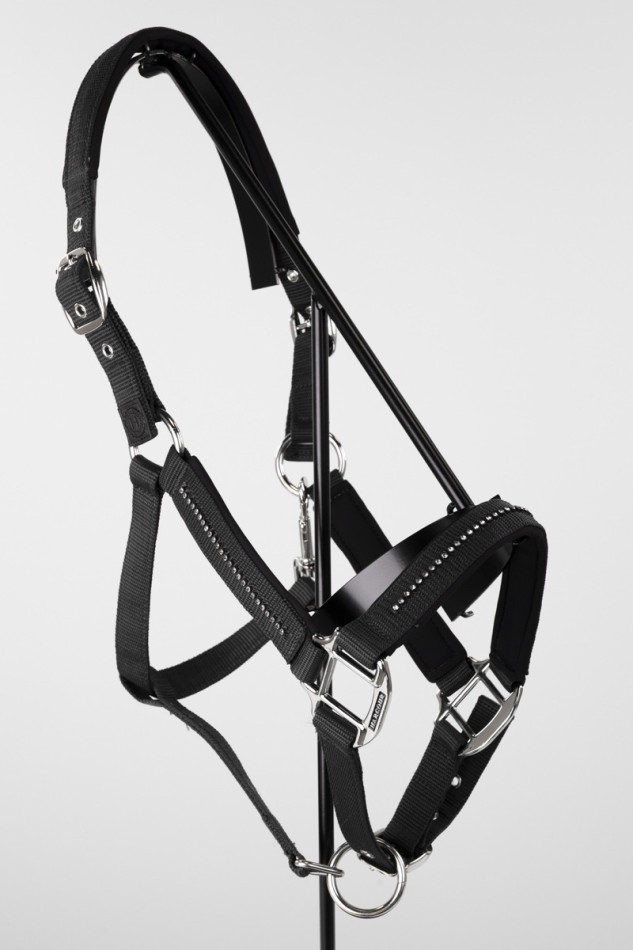 Amour Halter and Lead Rope - Black