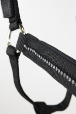 Amour Cabestro y ronzal - Negro Amour Cabestro y ronzal - Negro