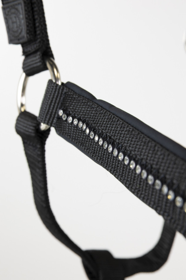 Amour Cabestro y ronzal - Negro