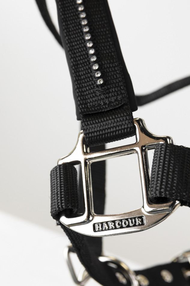 Amour Licol et longe - Noir