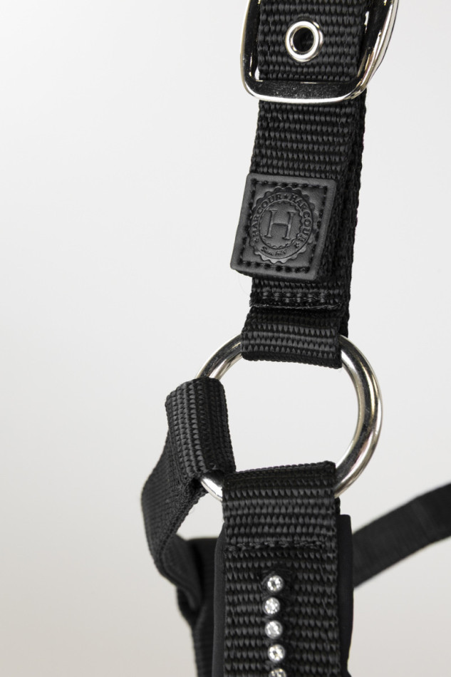 Amour Halter and Lead Rope - Black