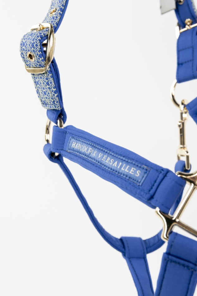 Maximin Halfter und Longiergurt Versailles - Marine (Navy) Maximin Halfter und Longiergurt Versailles - Marine (Navy)