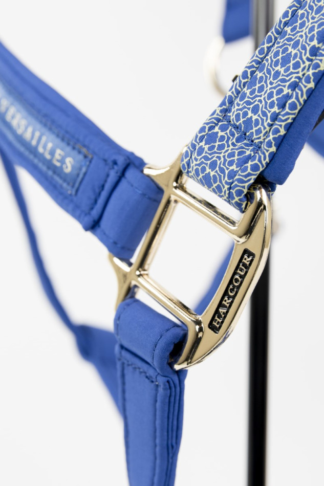 Maximin Halfter und Longiergurt Versailles - Marine (Navy) Maximin Halfter und Longiergurt Versailles - Marine (Navy)