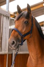 Hansy Halter and Lanyard - Navy Hansy Halter and Lanyard - Navy