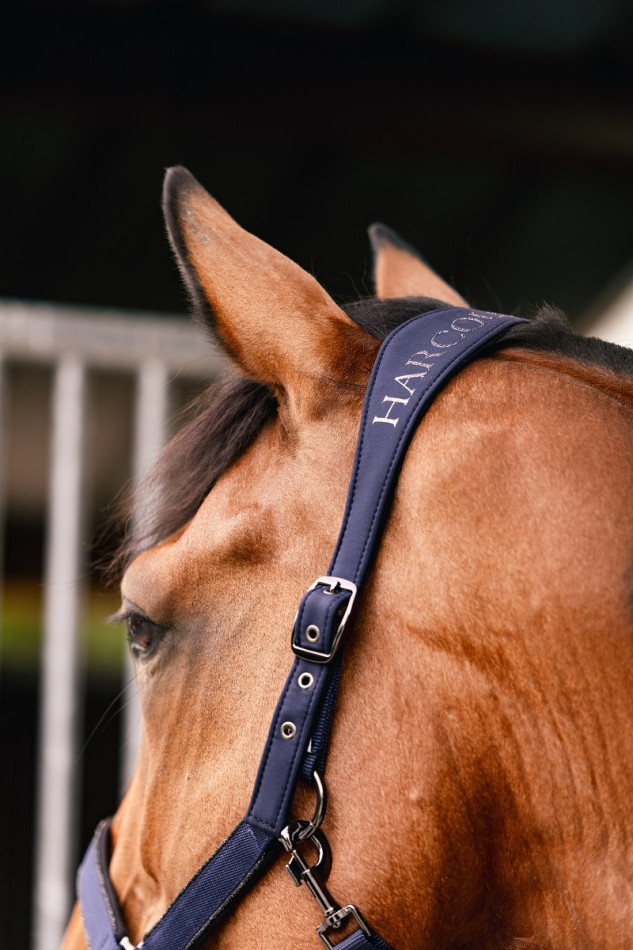 Hansy Halter and Lanyard - Navy
