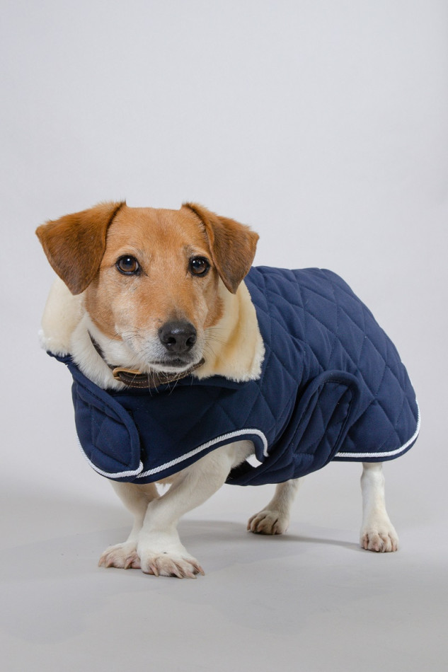 Rocket Couverture Chien Winter 22 - Marine (Navy)