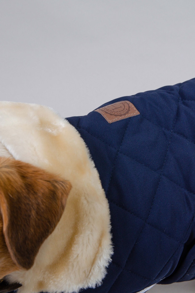 Rocket Couverture Chien Winter 22 - Marine (Navy)