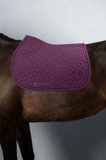 Saphir Tapis de Selle - Figo Saphir Tapis de Selle - Figo