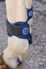 Toxic Protèges boulets Mesh - Marine Toxic Protèges boulets Mesh - Marine