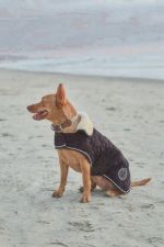 Bernie cobertura para cão EUA - Preto (Black) Bernie cobertura para cão EUA - Preto (Black)