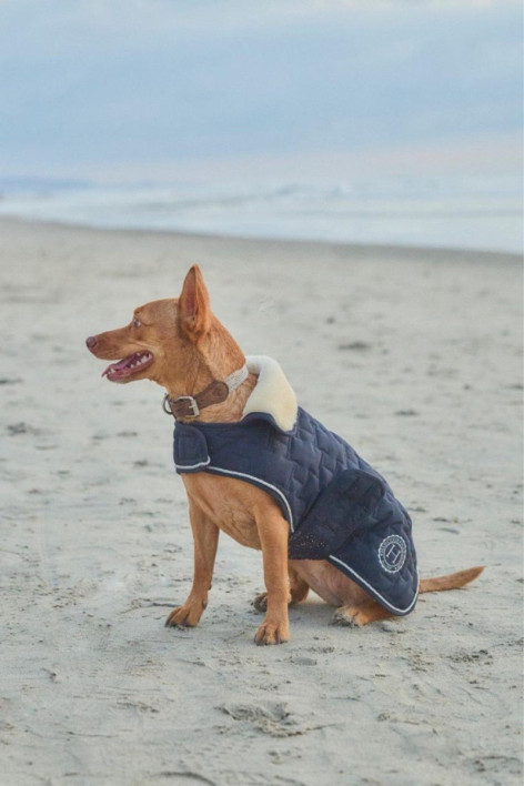 Bernie cobertura para cão EUA - Azul-marinho (Navy)