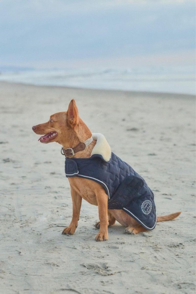 Bernie couverture pour chien USA - Marine (Navy) Bernie couverture pour chien USA - Marine (Navy)