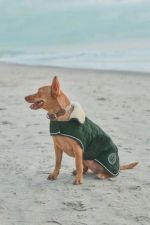 Bernie cobertura para cão EUA - Jungle (JungleGreen) Bernie cobertura para cão EUA - Jungle (JungleGreen)