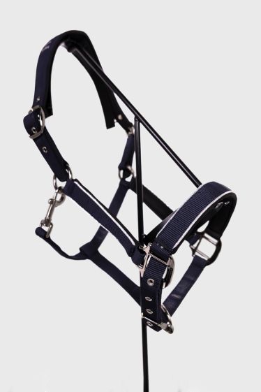 Bamara Licol - Marine