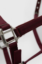 Cinsy Halter and Lead Rope - Vigne Cinsy Halter and Lead Rope - Vigne