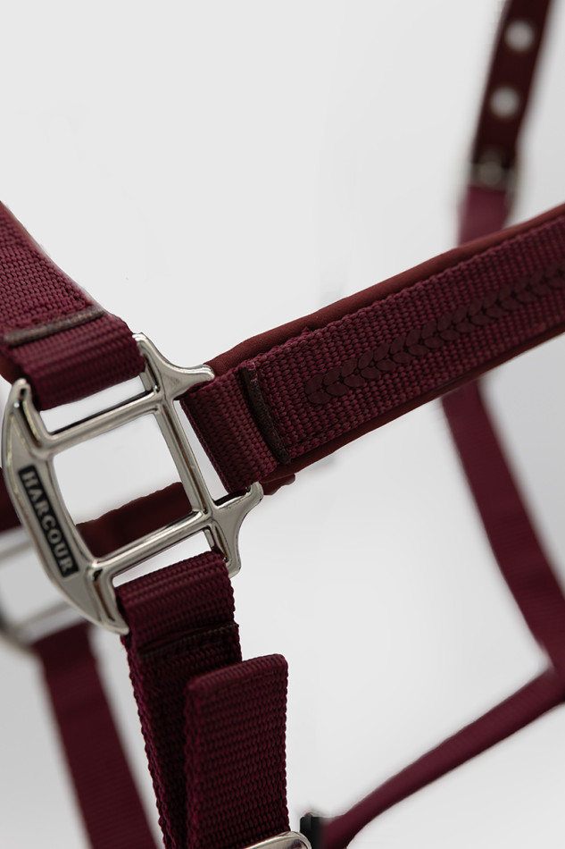 Cinsy Halter and Lead Rope - Vigne