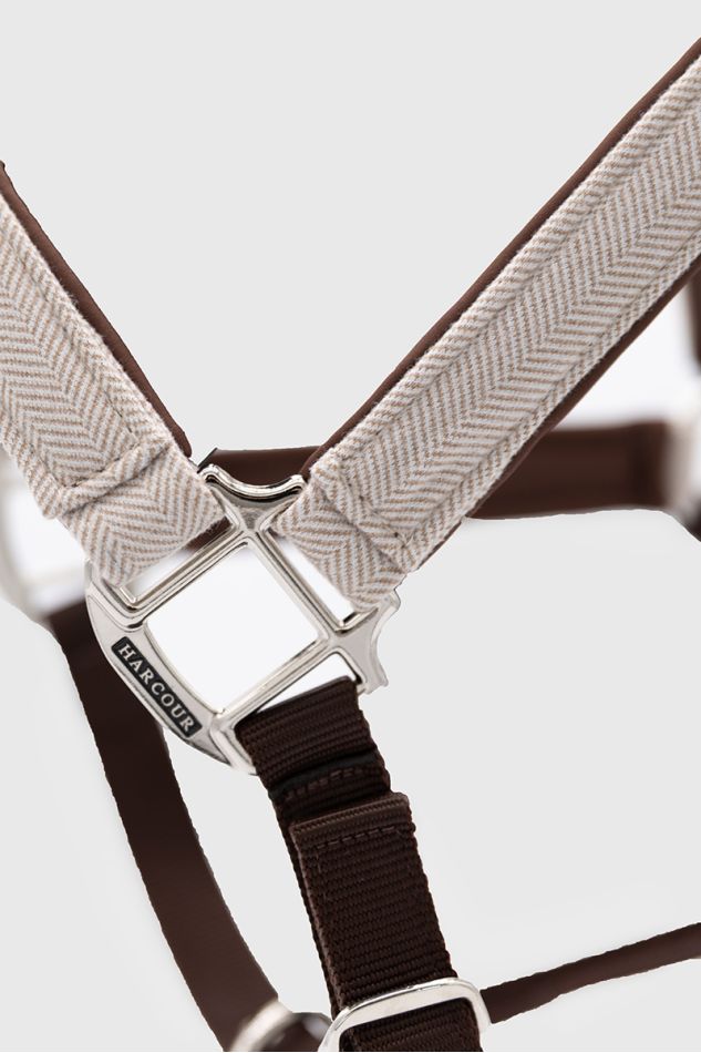 Condor Licol et longe - Chevrons