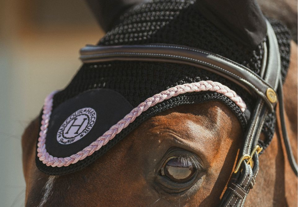 Bonnet pour cheval - Harcour